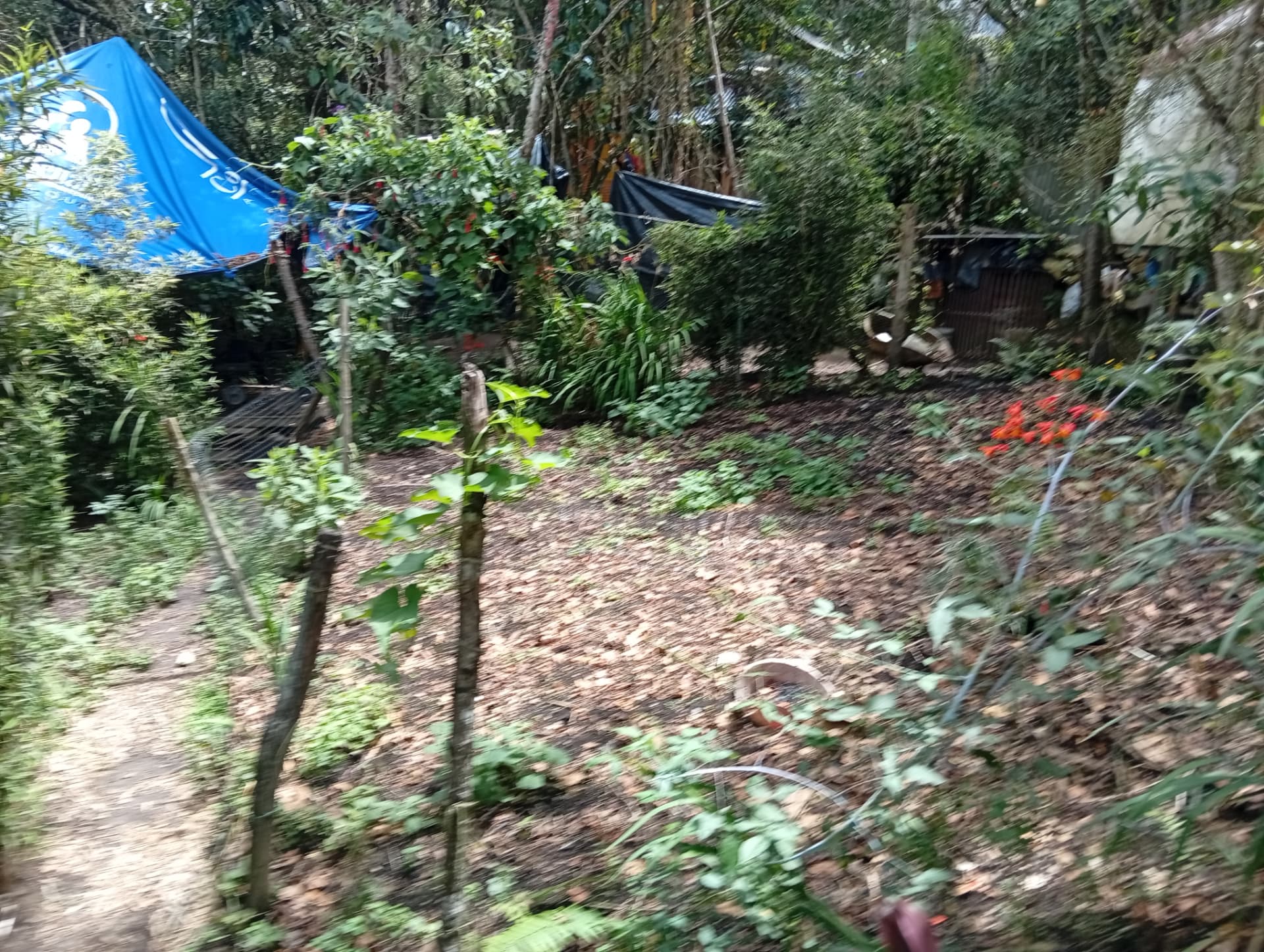 La huerta en La Granja Juan del Bosque
